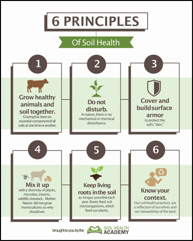 6 Principles of Soil Health infographic