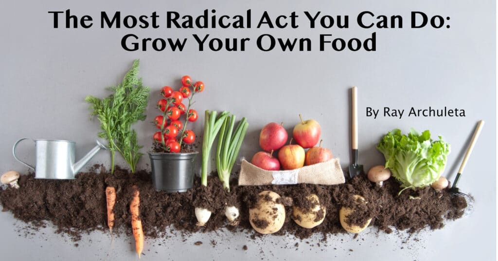 essay on growing your own food