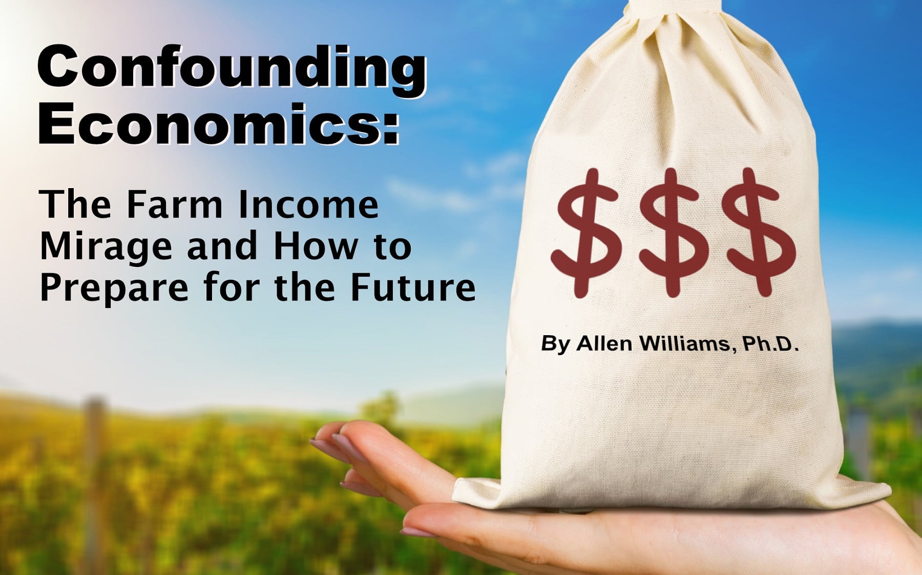Confounding Economics: The Farm Income Mirage and How to Prepare for the Future