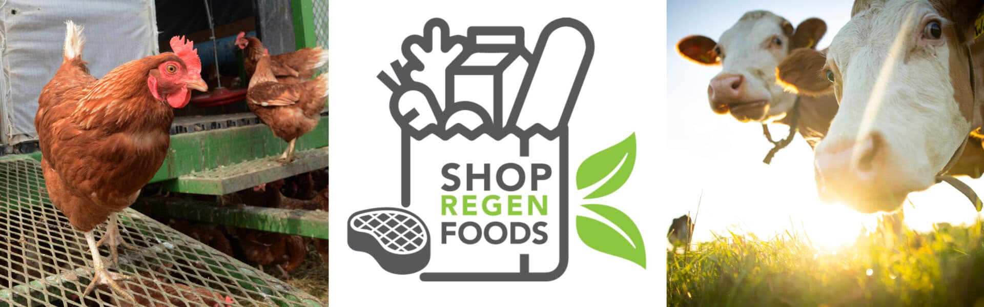 Regen Foods Logo