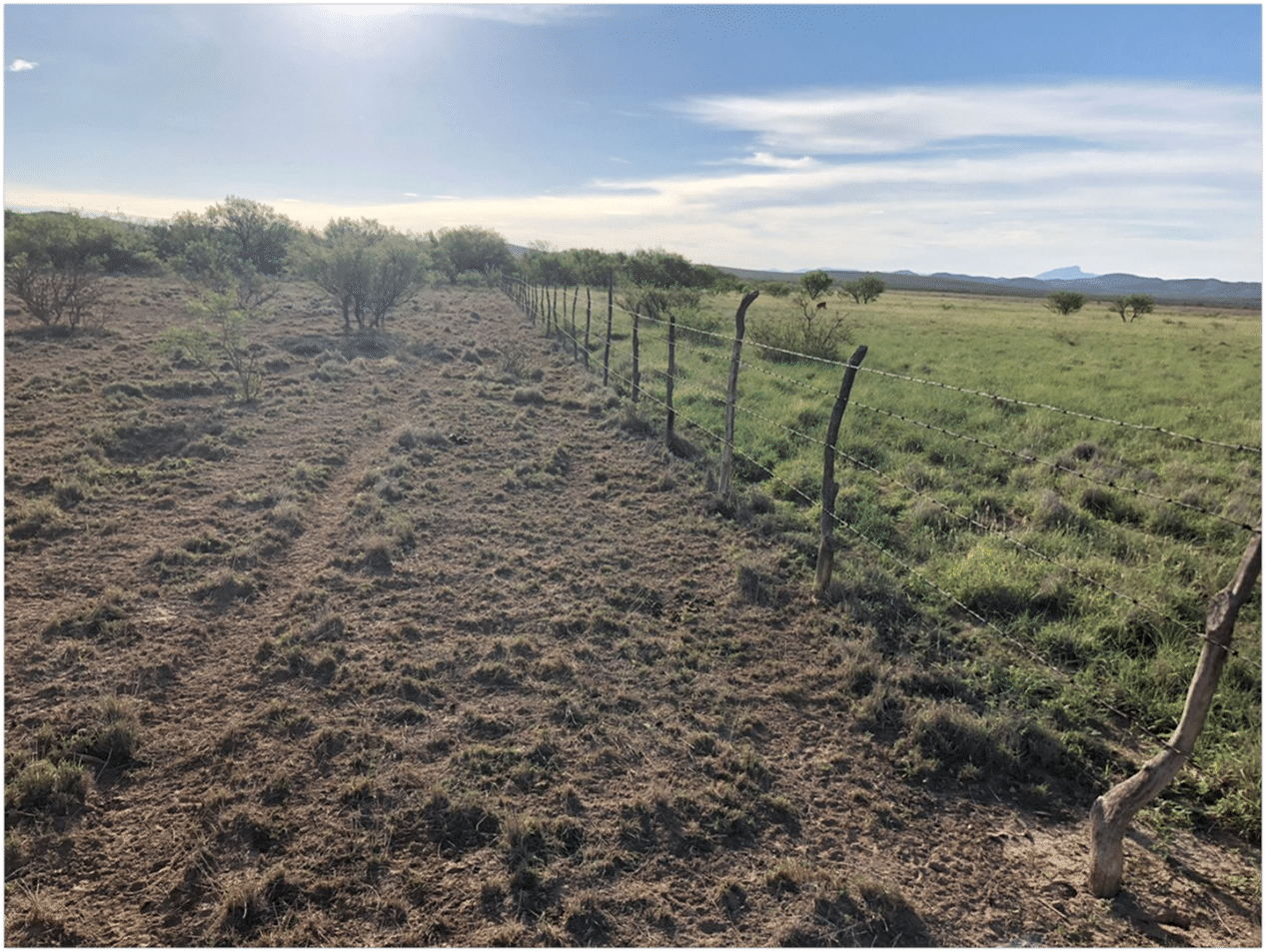 Picture 5.  Fenceline Comparison – Rancho El Refugio. 
