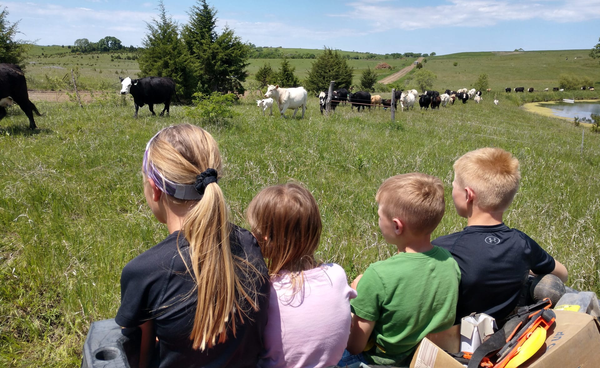 While out in our pasture last year oldest daughter, Claire, told her father, “You know Gabe would scold you. We’re over grazing this, Dad.” “She was right,” Ben said, “so we moved the cattle.” 