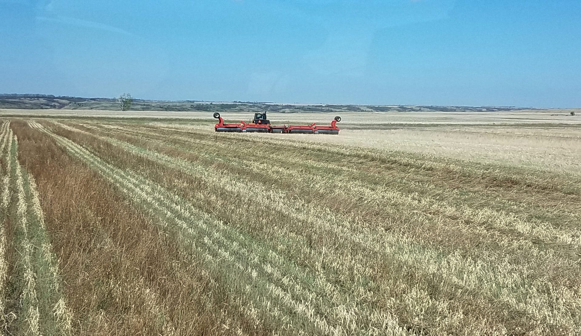 “Planting soybeans and rolling down previous years cereal rye stubble. It was 85 degrees with a 30-40mph wind this day, but no soil blowing.  Barley, sweet clover, radish cover is also present from the past fall.  The green residue was volunteer rye that overwintered providing a living root all spring.” 
– Brandon Bock