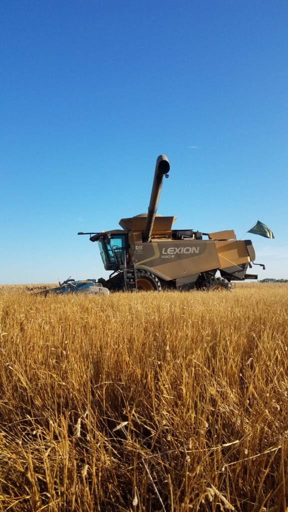 “The Shelbourne-Reynolds stripper header has allowed us to catch more snow, shade and protect the soil, provide natural weed control, keep soil temps down, speed harvest and allow easier seeding with a single disc no-till drill or planter.” 
– Brandon Bock