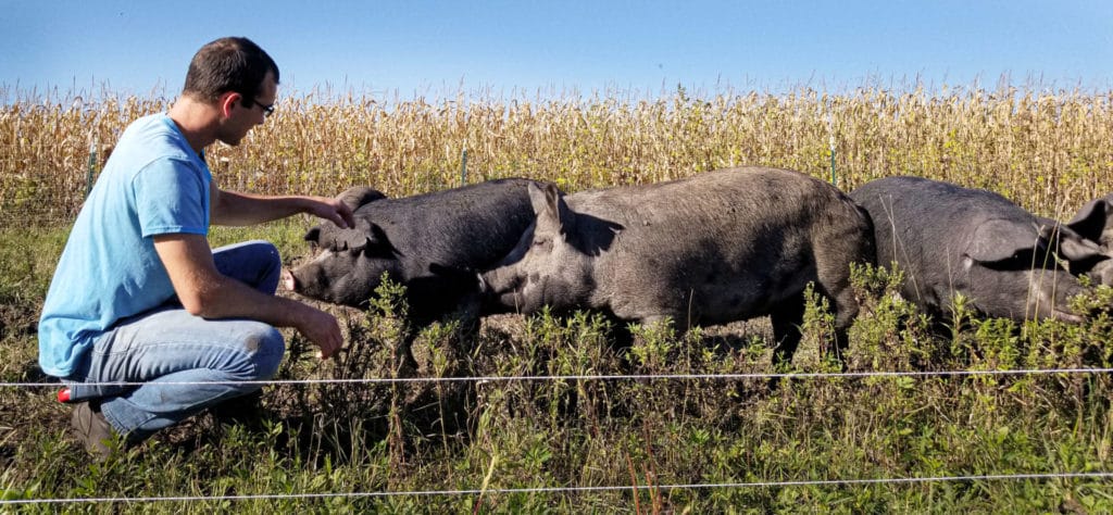 Keegan_Pigs_Cropped_LR Keegan_Pigs_Cropped_LR