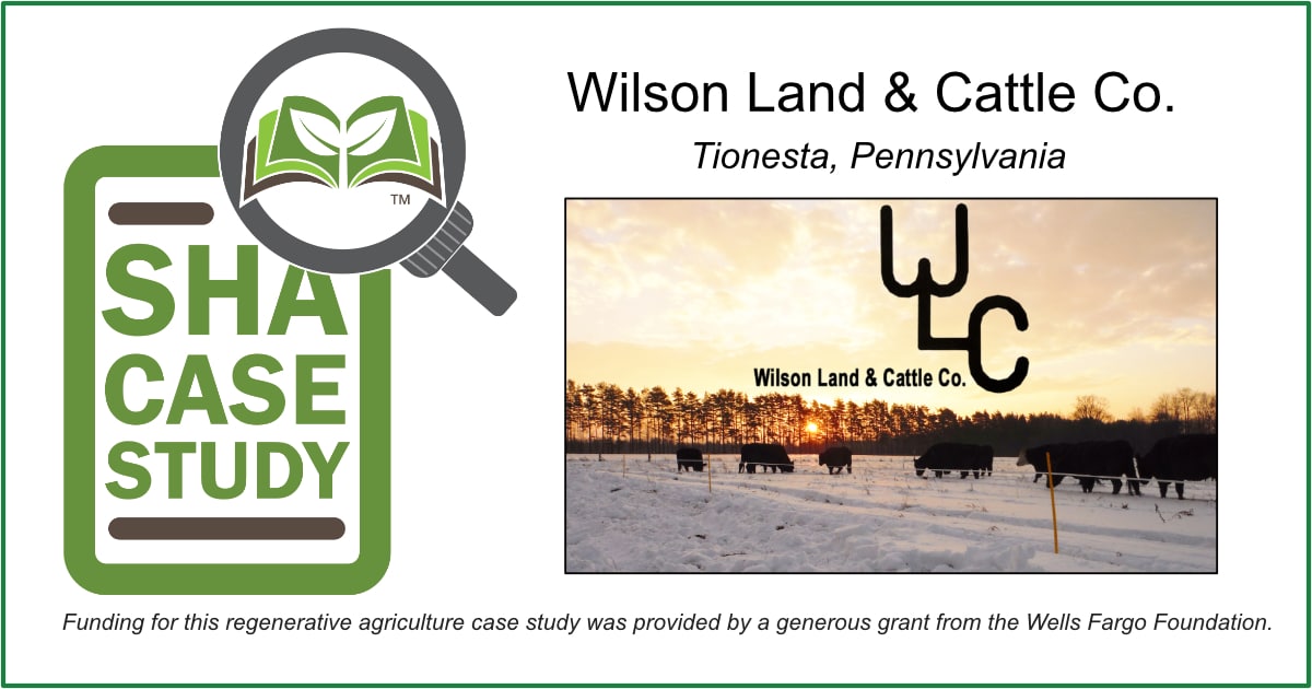 Case Study - Wilson Land and Cattle Company