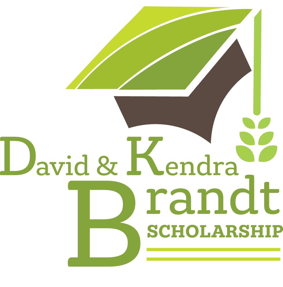 DKB Scholarship Logo