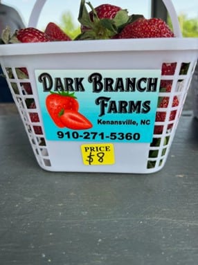 Dark Branch Farm Strawberry