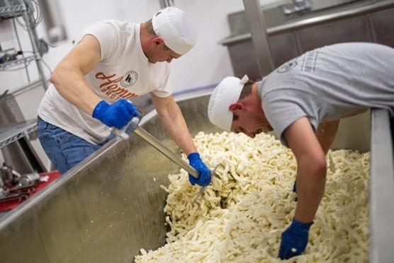 Making Cheese at Hemme Dairy