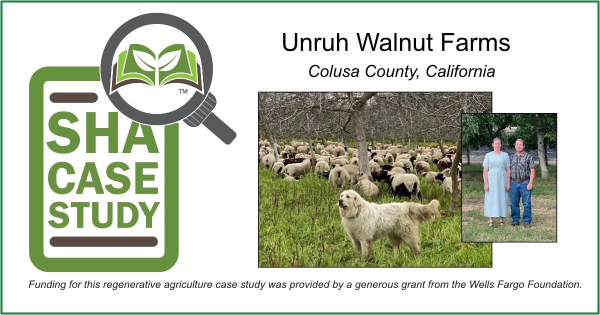 Unruh Walnut Farms