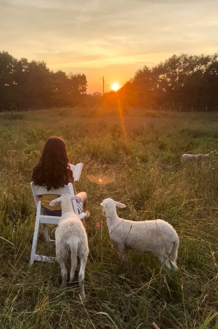 a woman reading with two lambs