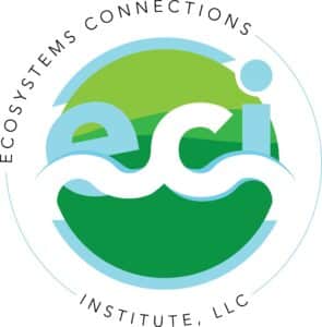 eciLg