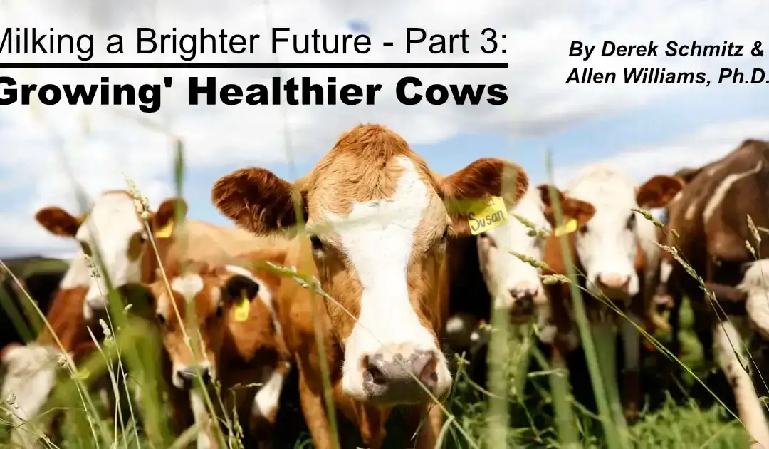 Milking a Brighter Future – Part 3