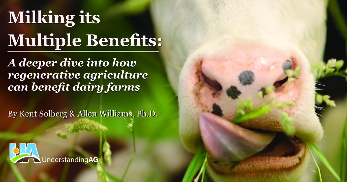 Milking its Multiple Benefits: Part 2