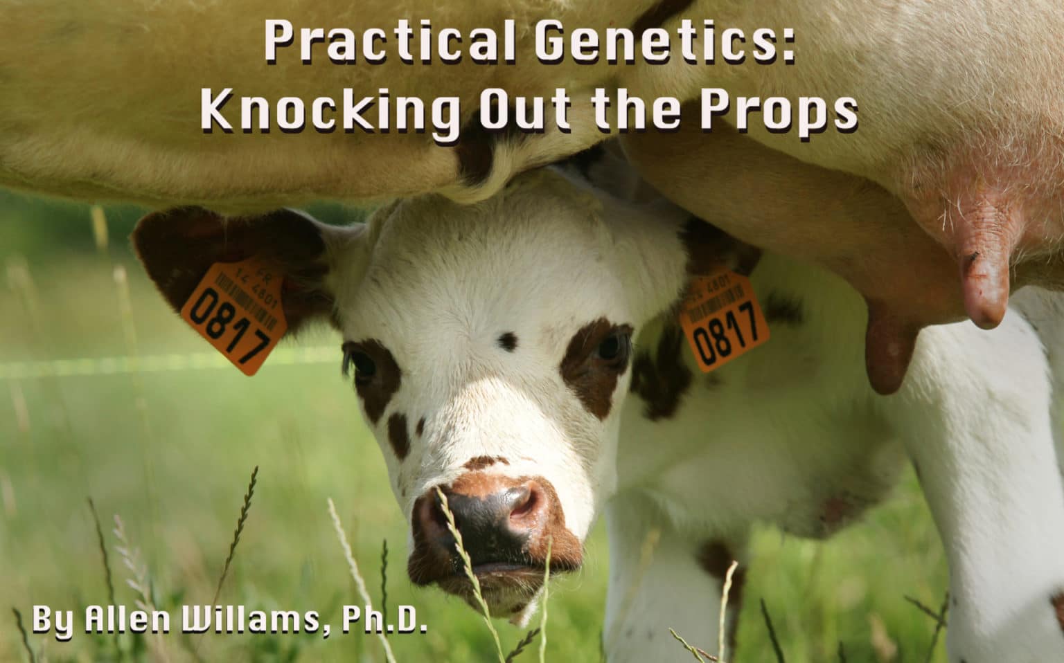 Practical Genetics: Knocking out the Props